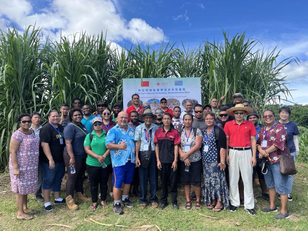 構建更加公正合理的全球治理體系——智庫報告解析共建“新型全球領導力”